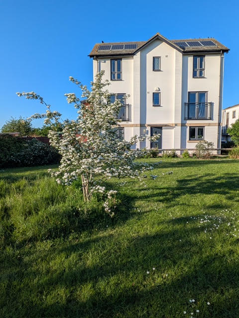 House side